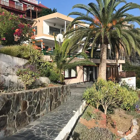 Ana Palmtreeteraceflat Playa De San Marcos Icod De Los Vinos
